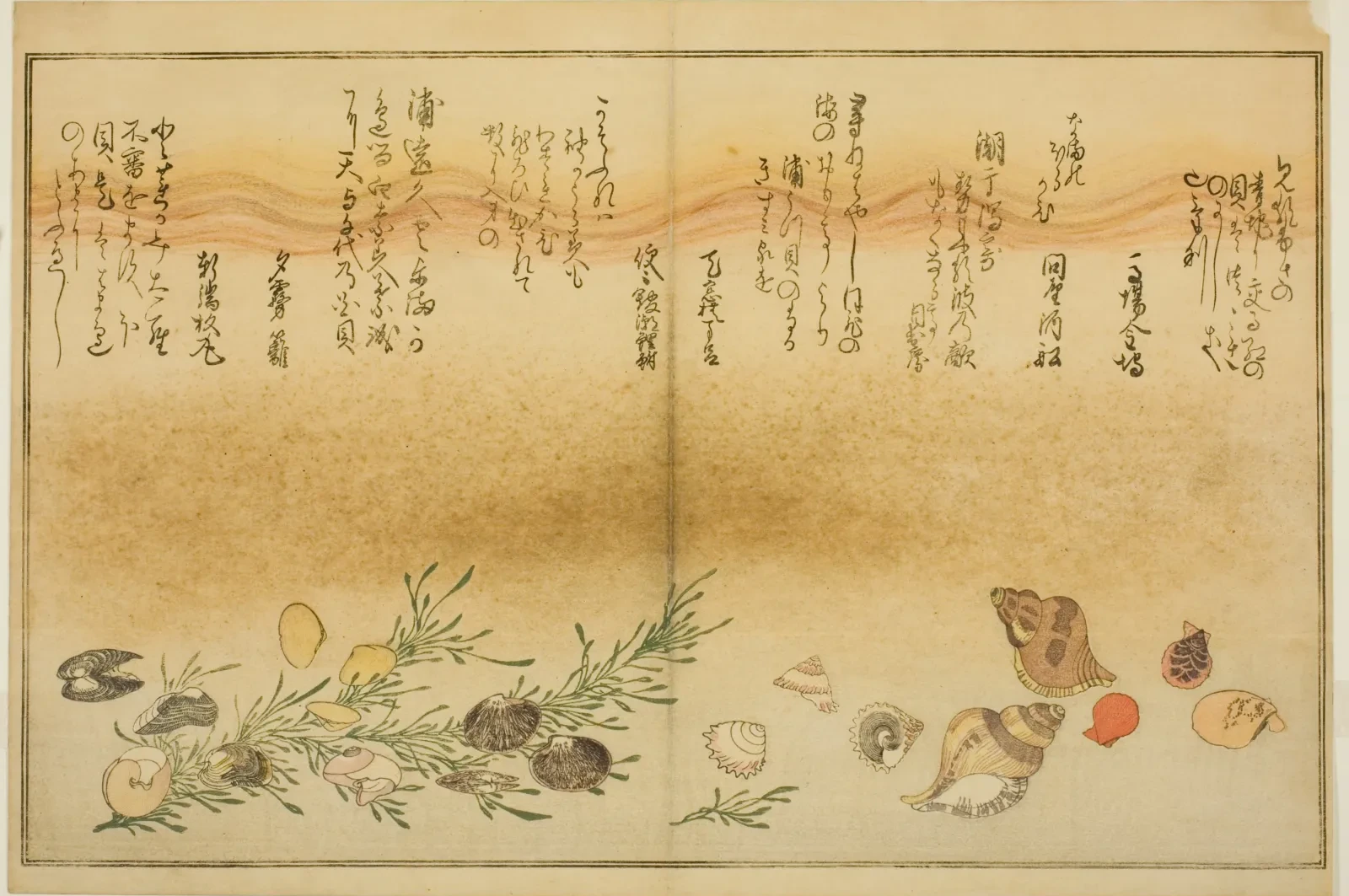 Beni-gai, hora-gai, urauzu-gai, wasure-gai, chiyonohana-gai e masuho-gai, do livro ilustrado Presentes da maré baixa, Kitagawa Utamaro