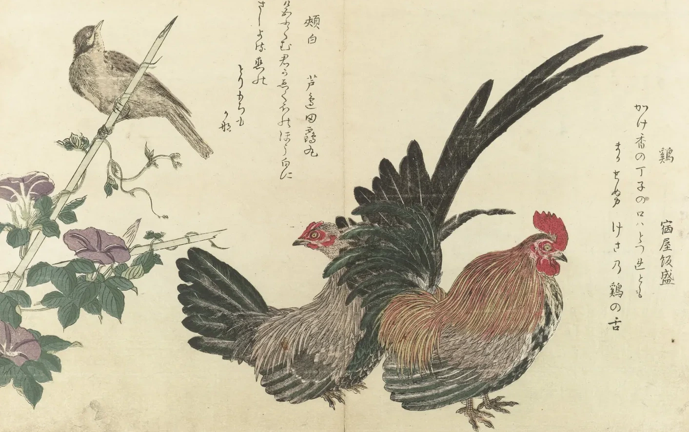 Gallo, gallina y escribano cerca de una campanilla en flor, del libro de pájaros de Utamaro, Kitagawa Utamaro