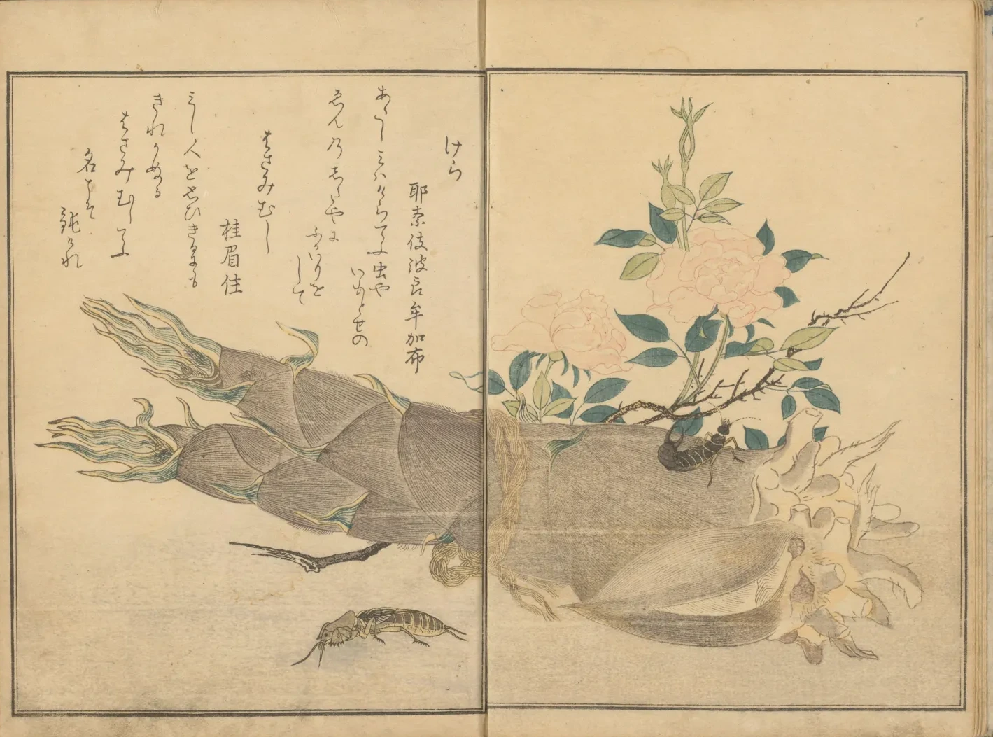Courtilière et perce-oreille sur une pousse de bambou, du livre illustré Le Livre des insectes, Kitagawa Utamaro