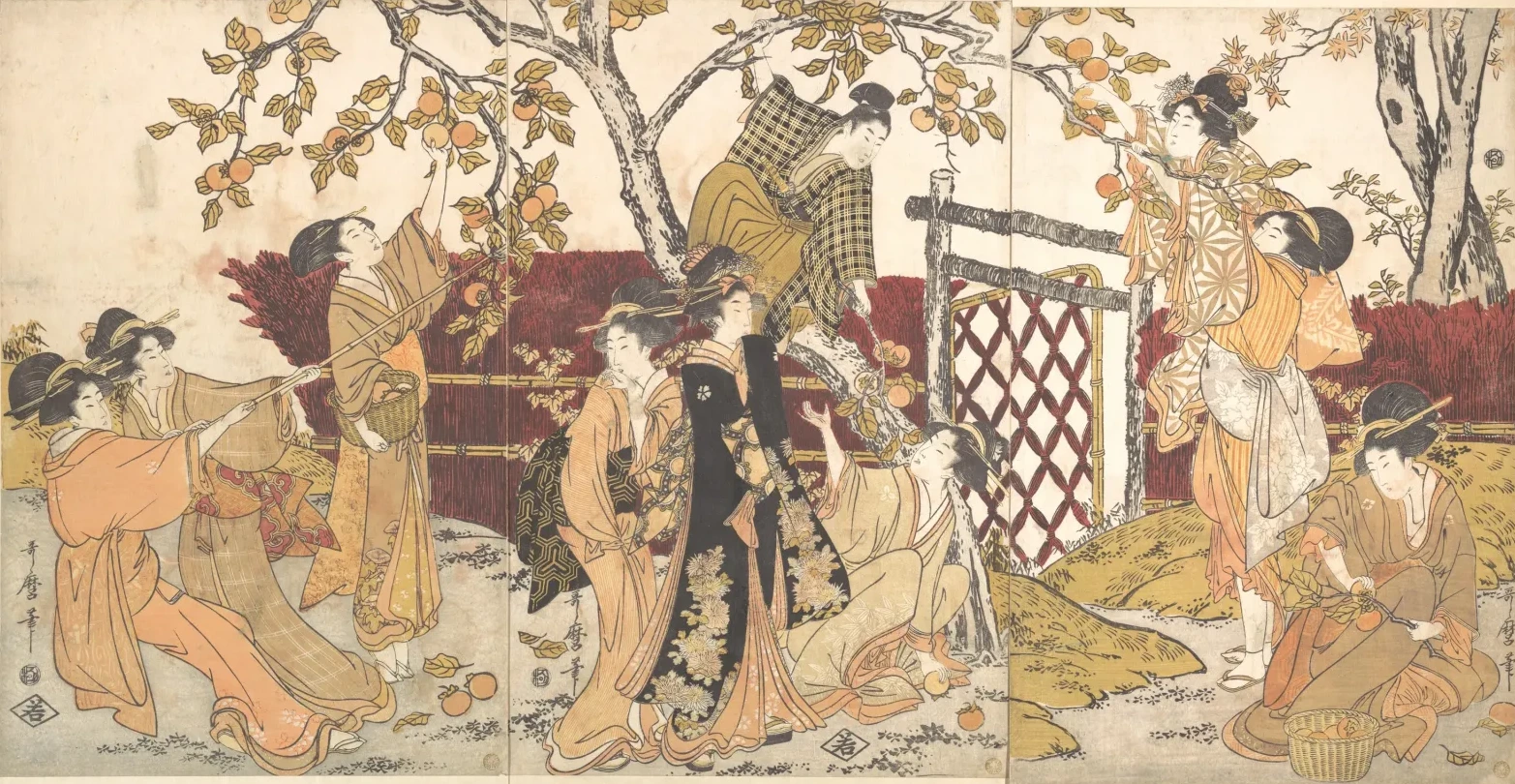Picking Persimmons (Kaki-mogi), Kitagawa Utamaro