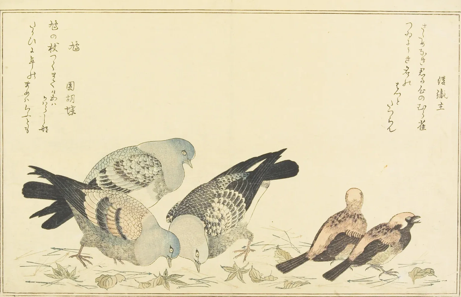 Moineau friquet et pigeon biset, Kitagawa Utamaro