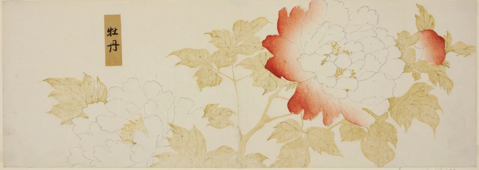 Peonies, Kitagawa Utamaro