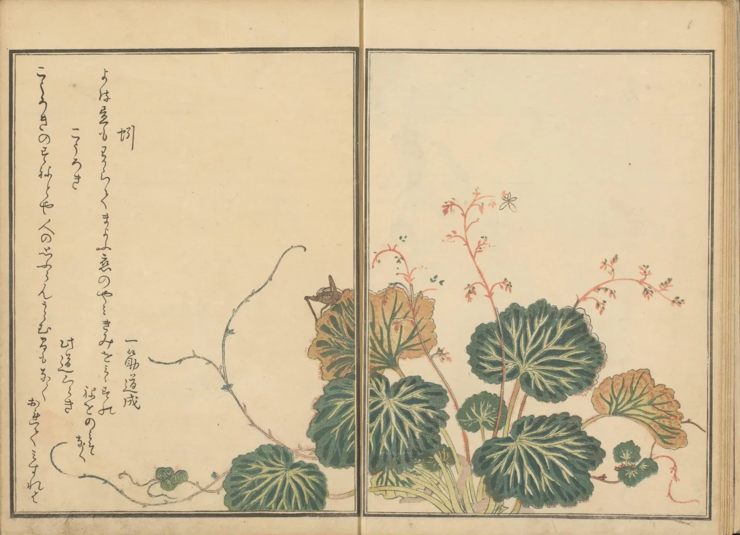 雪の下に蚯蚓と蟋蟀（画本虫撰）, 喜多川歌麿