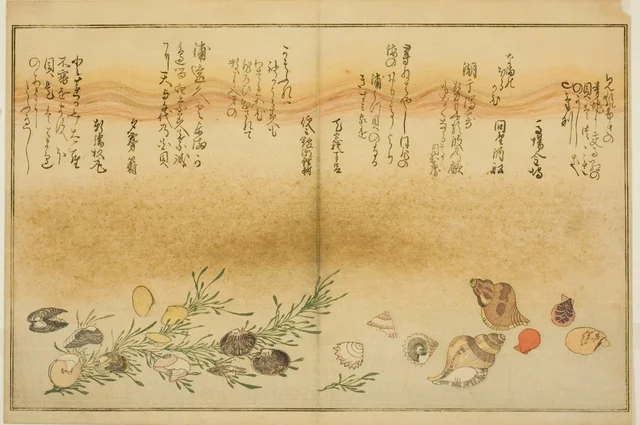 Beni-gai, hora-gai, urauzu-gai, wasure-gai, chiyonohana-gai e masuho-gai, do livro ilustrado Presentes da maré baixa