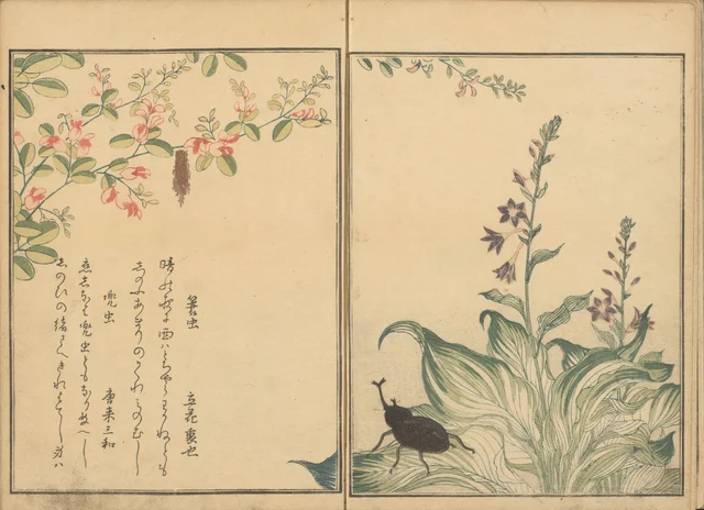 Lagarta-de-saco e besouro-rinoceronte sobre uma lespedeza e uma flor de cebolinha, do livro ilustrado O livro dos insetos