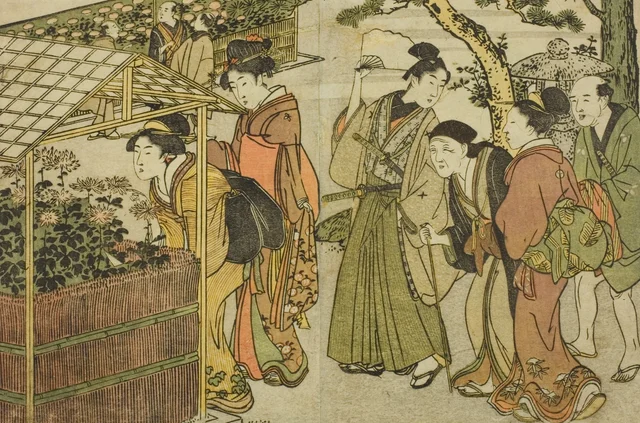 Display of Chrysanthemums, from the illustrated book "Picture Book: Flowers of the Four Seasons (Ehon shiki no hana)," vol. 2, Kitagawa Utamaro