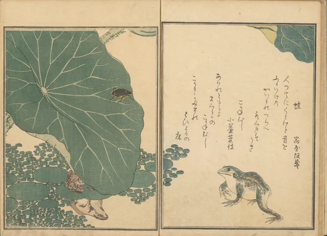 Grenouilles et scarabée doré près d'un lotus, du livre illustré Le Livre des insectes