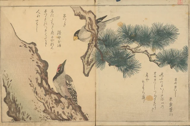 斑鳩と啄木鳥（鳥の絵本より）