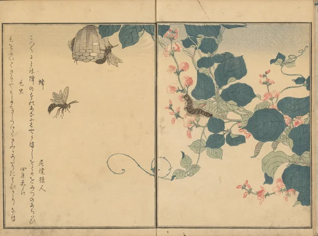 画本虫撰・蜂と毛虫