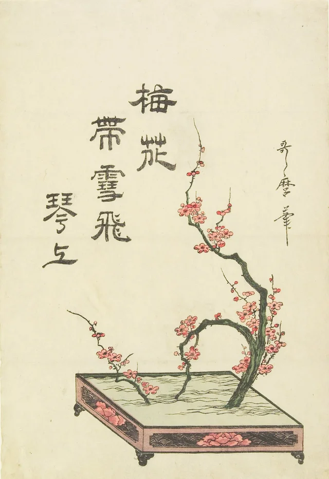 Ikebana de um ramo de ameixeira