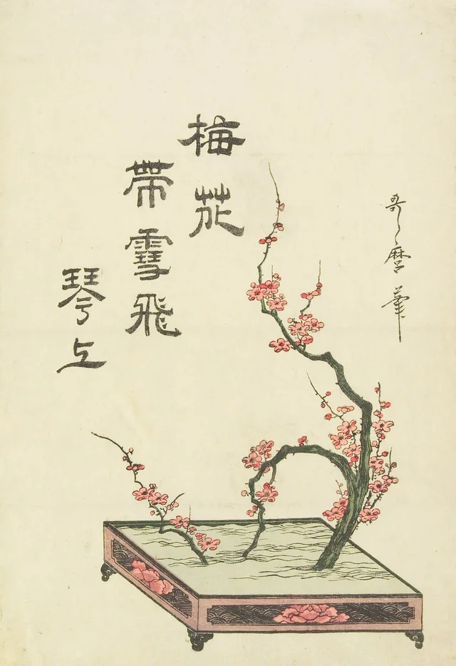 Ikebana de una rama de ciruelo, Kitagawa Utamaro