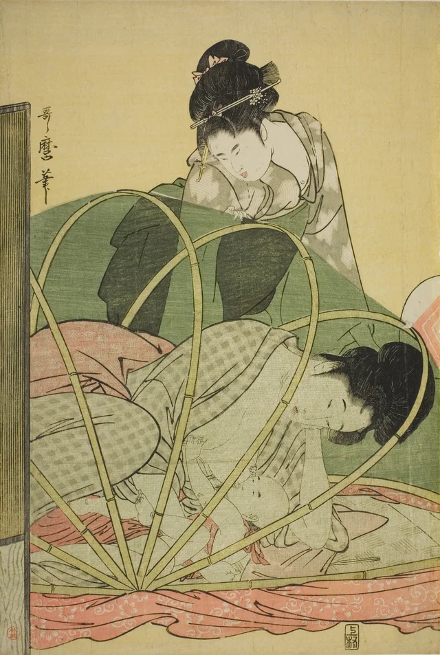 Mosquito Net for a Baby