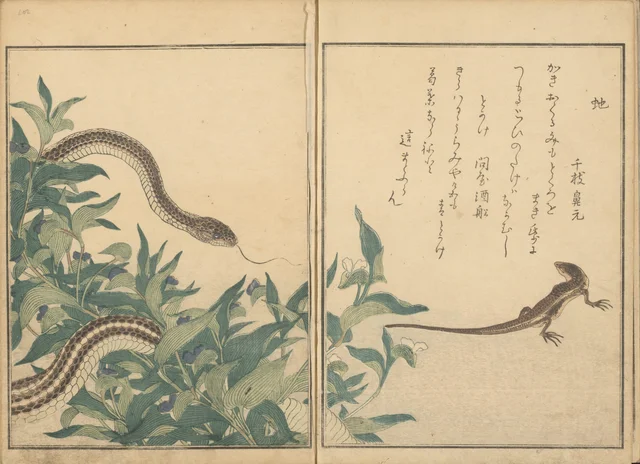画本虫撰・蛇と蜥蜴
