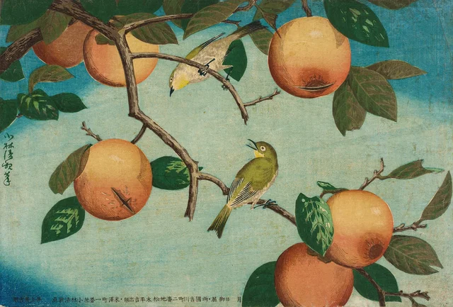 Persimmons and White-Eyes, Kobayashi Kiyochika