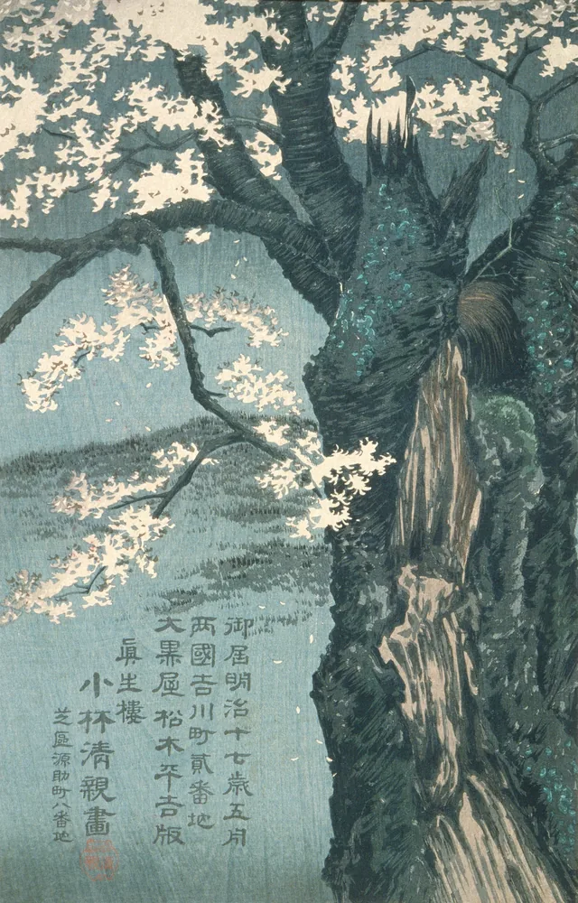 Warrior Taira no Tadanori about to Sleep under a Cherry Tree, Kobayashi Kiyochika
