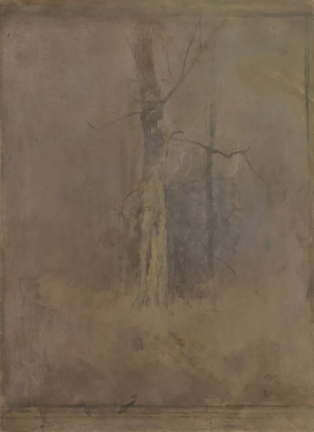 Grey Mood with a Dry Tree