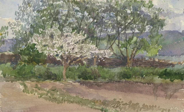 Blossoming Tree