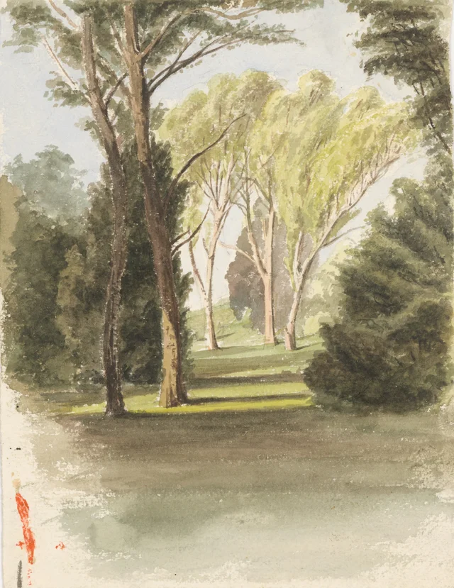 Trees in a Park