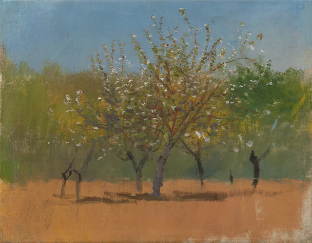 Trees in Bloom