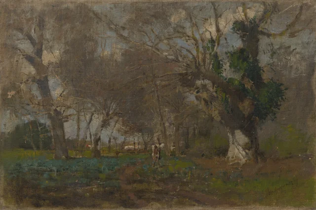 Oak Trees near an Arm of the Váh