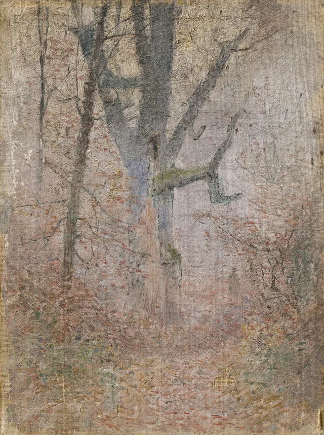 Boceto de un bosque de otoño