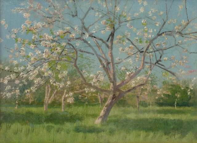 Study of Blossoming Trees in an Orchard, Ladislav Medňanský