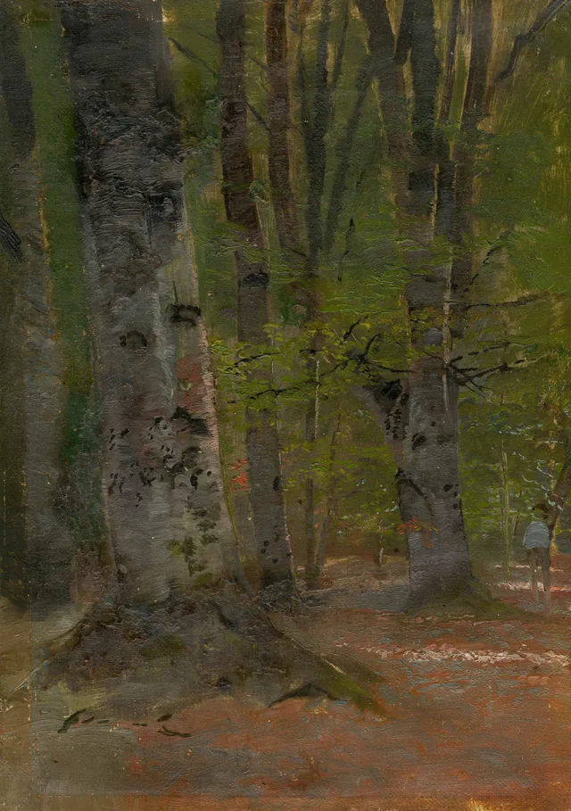 Estudio de interior de bosque
