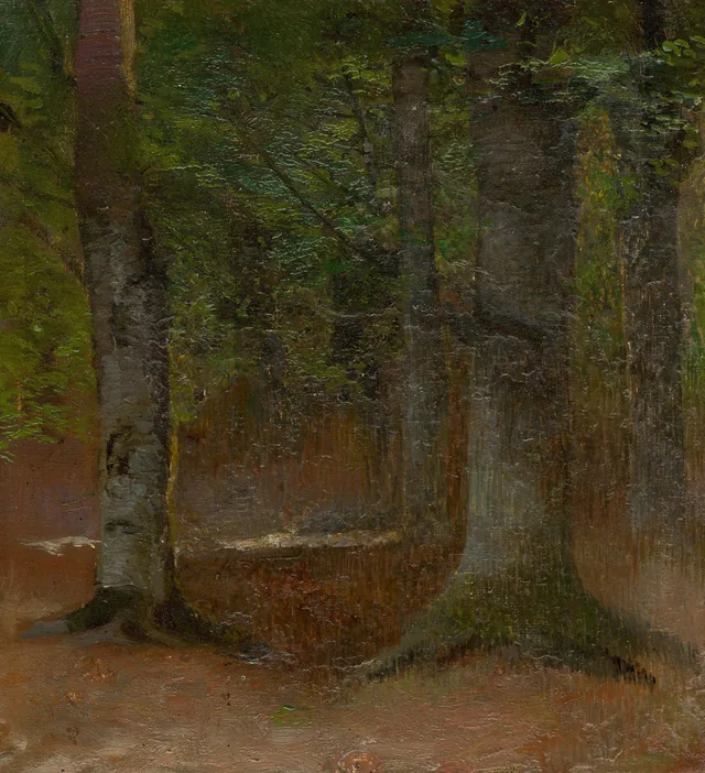 Estudo de floresta