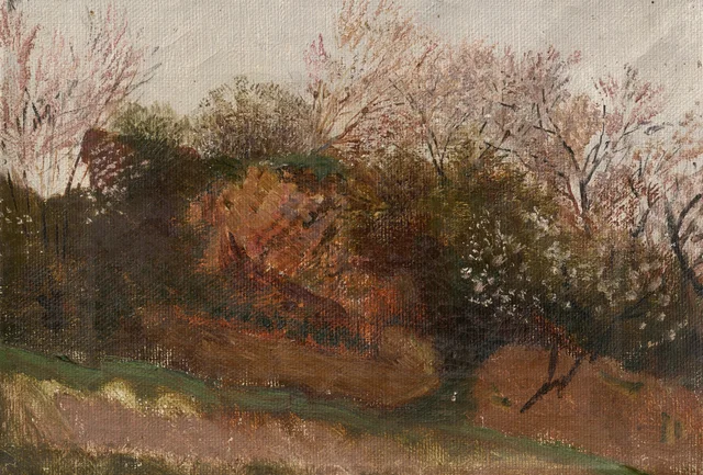 Estudo da natureza na primavera