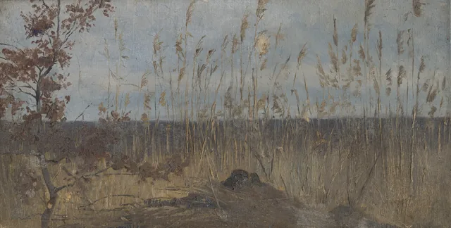 Estudio de paisaje cerca de un pantano