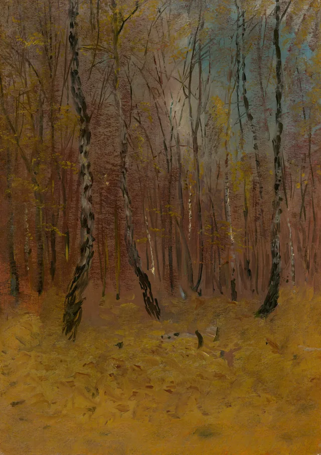 Forêt d'automne
