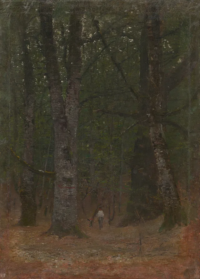 Man in the Forest