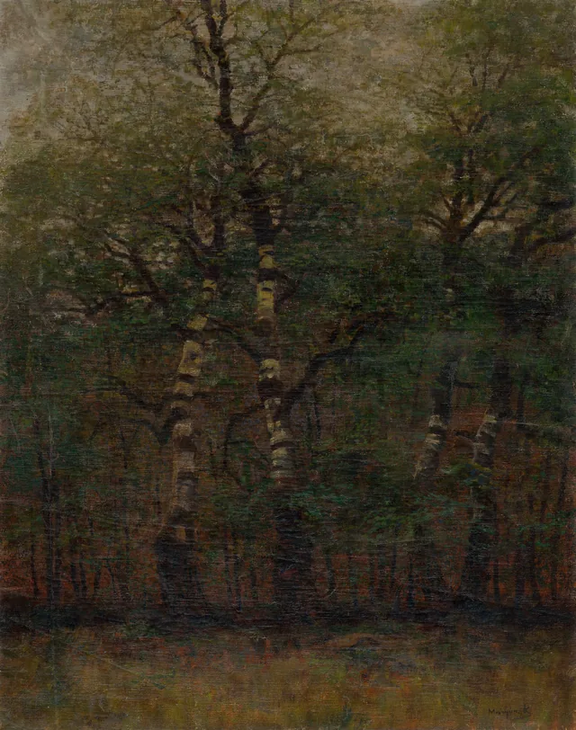 Interior of a Birch Wood, Ladislav Medňanský