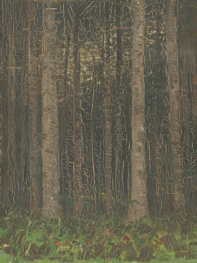 Forest Interior