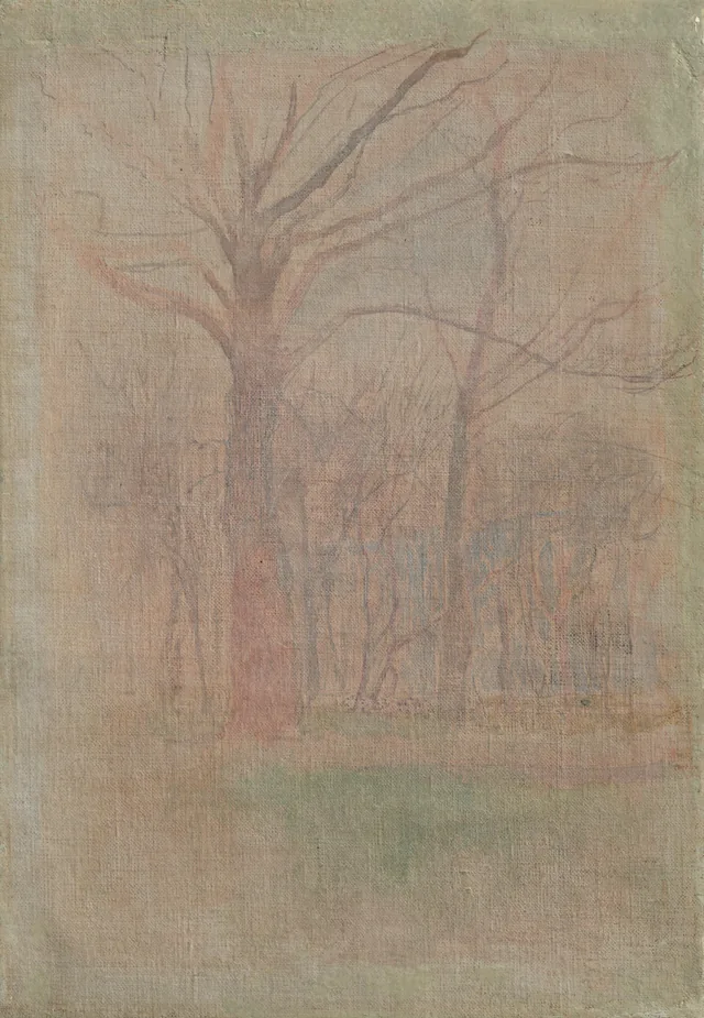 Forest Interior
