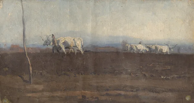 Ploughing below the Tatras