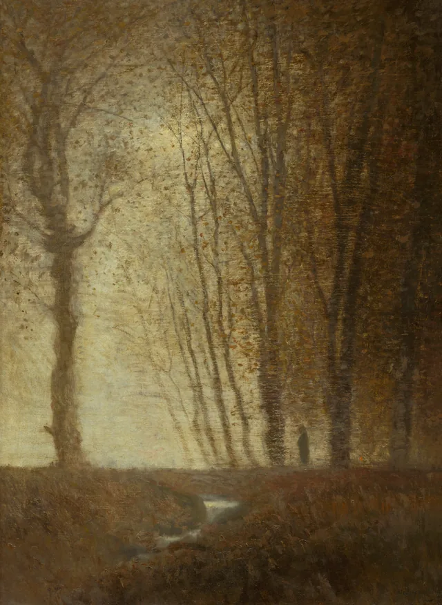 Edge of the Forest in Moonlight