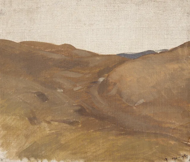 Landscape with a White Sky