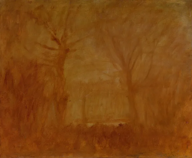 Paisaje de fuego
