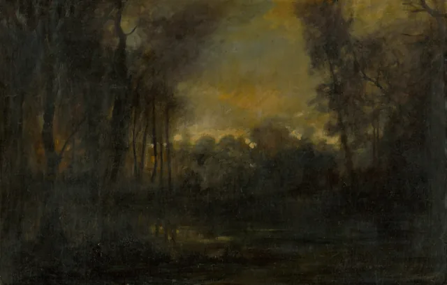 Marshy Landscape