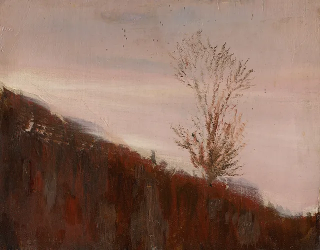 Autumn Slope with a Tree