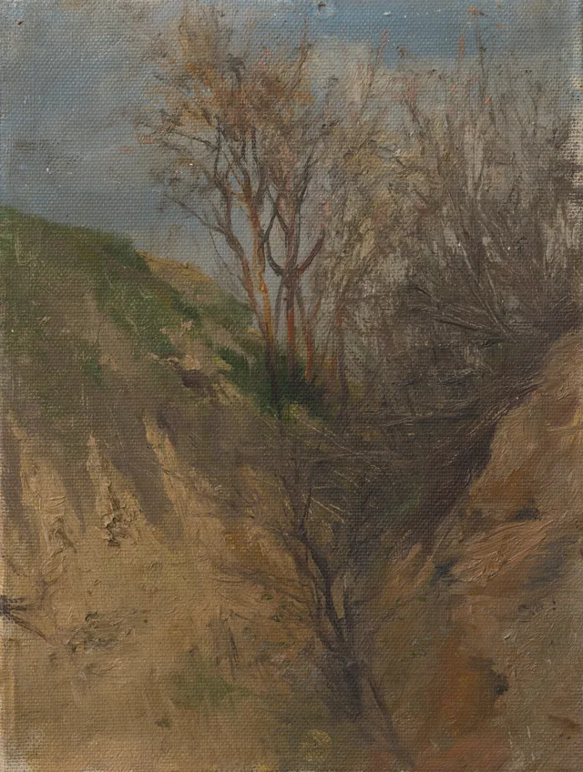 Gully. Ditch, Ladislav Medňanský