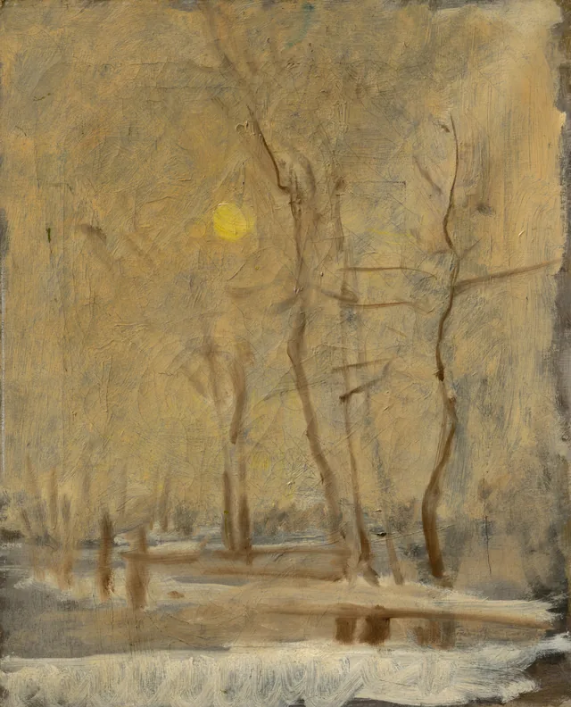 Sol de invierno en un paisaje con un arroyo. Motivo cerca de Strážky