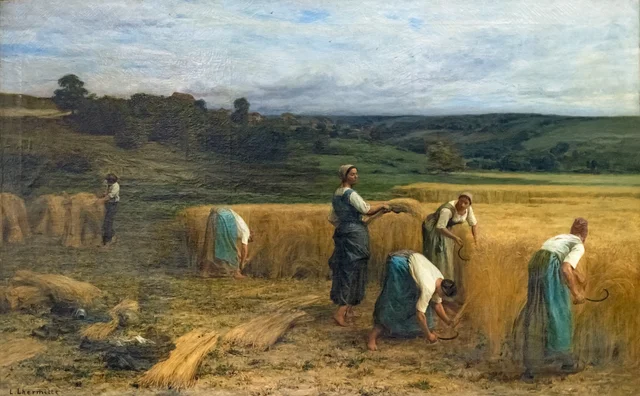 A colheita