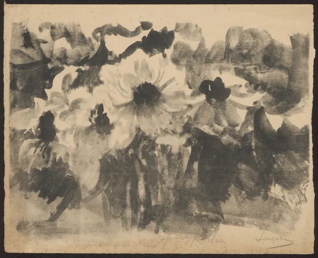 Anémones, Leon Wyczółkowski