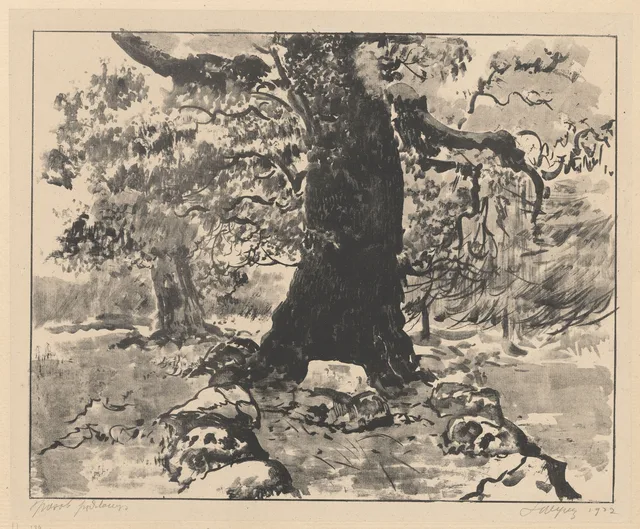 Um carvalho e pedras