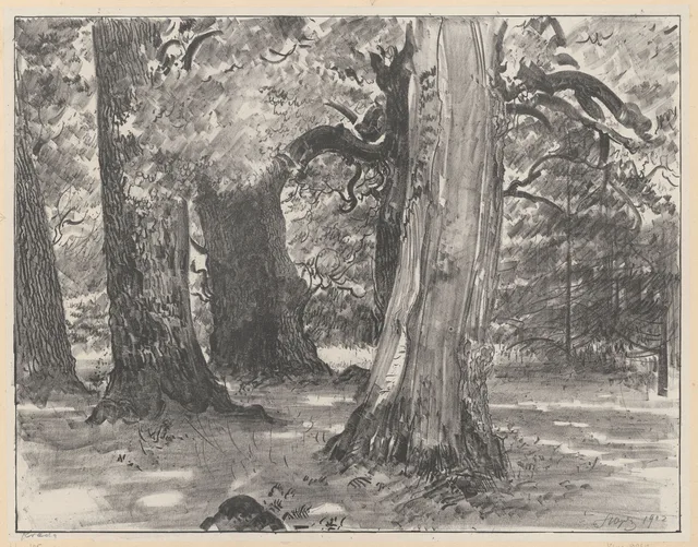Carvalhos