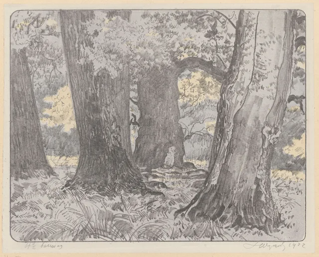 Carvalhos