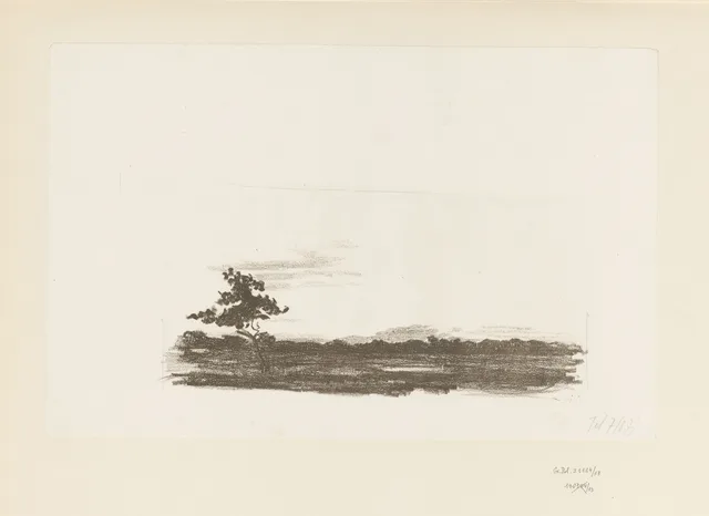 Arbusto, campo e bosque em silhuetas