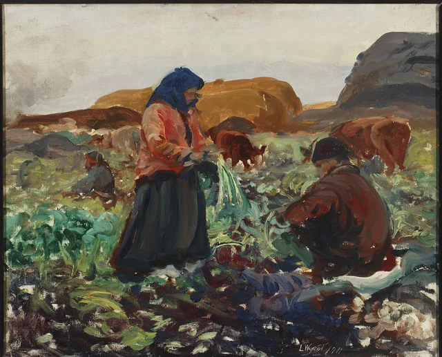 A colheita das beterrabas II